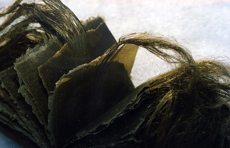 crop0002.jpg  