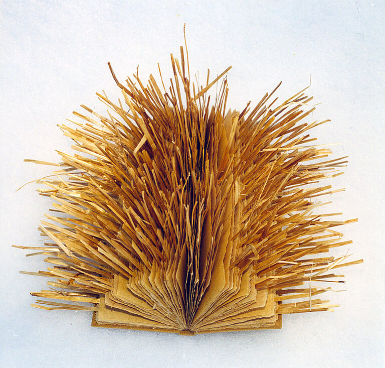 crop0032.jpg  