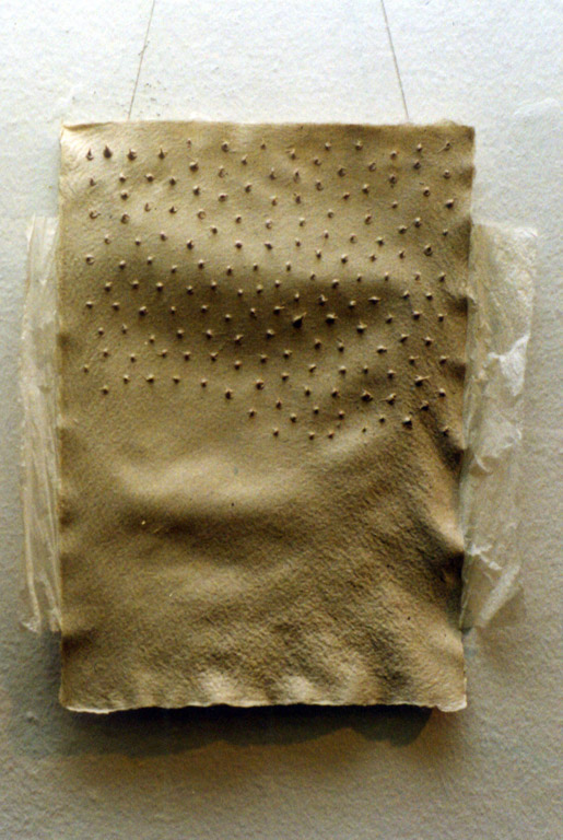 crop0011.jpg  