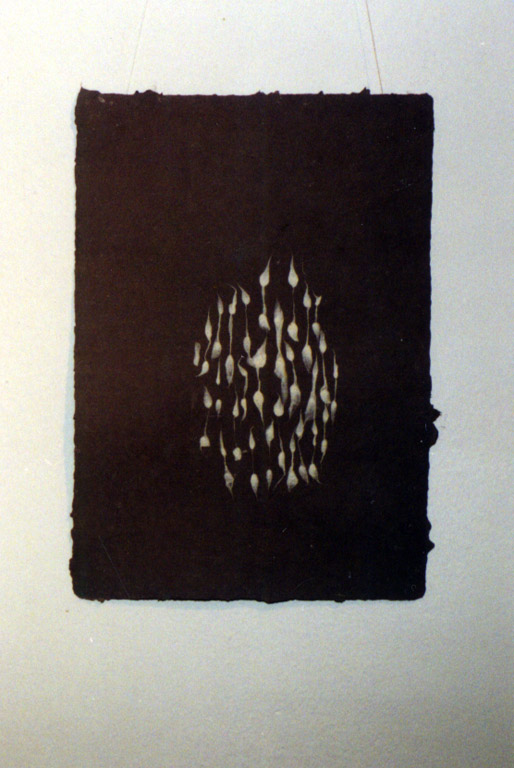 crop0014.jpg  