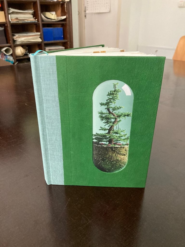 zu_Werkstatttag_Buch_mit_Fenster.jpg